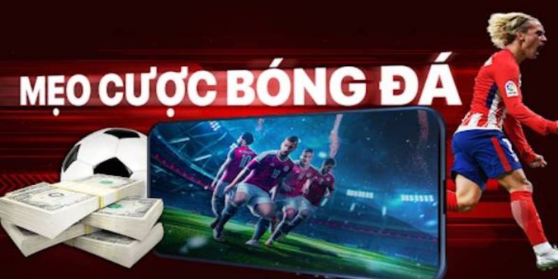 Bỏ túi mẹo chơi cá cược bóng đá Kubet thắng lớn