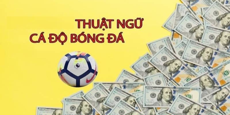 Nắm rõ thuật ngữ kèo Moneyline là gì?